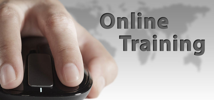 Image of hand on computer mouse showing online training